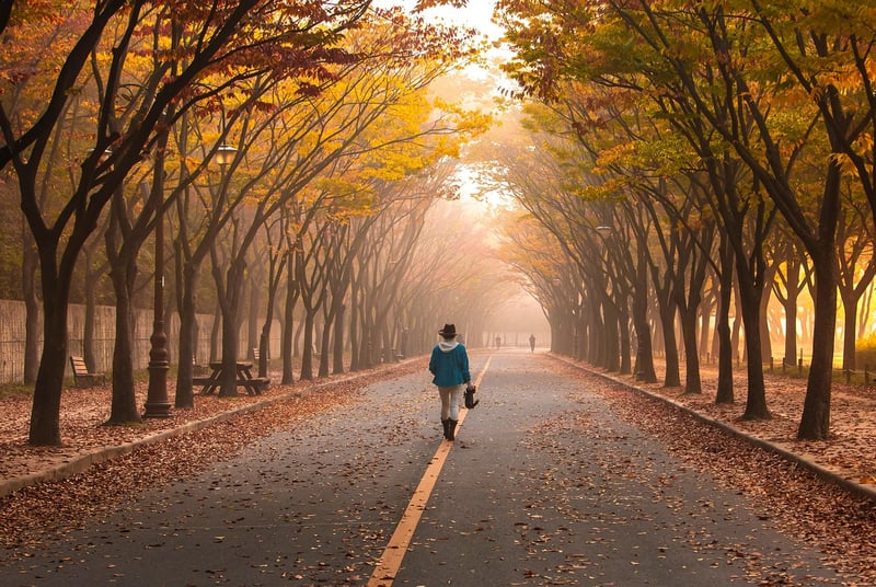 Mindful walking